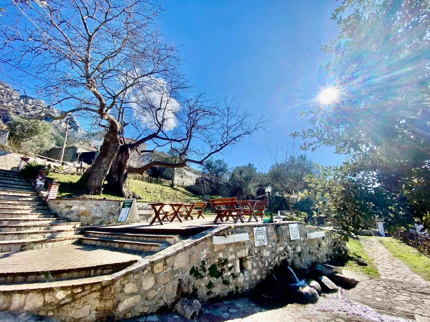Ballabaneci Plane Tree & Water Spring, Kruje, Albania