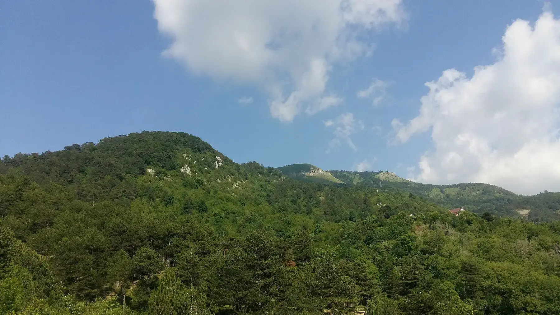 Forest in Qafshtama National Park